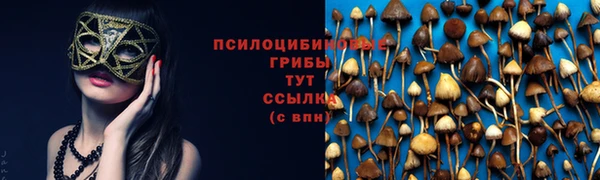 дурь Бабаево