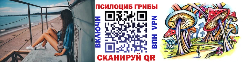 Галлюциногенные грибы Psilocybine cubensis  Вольск 