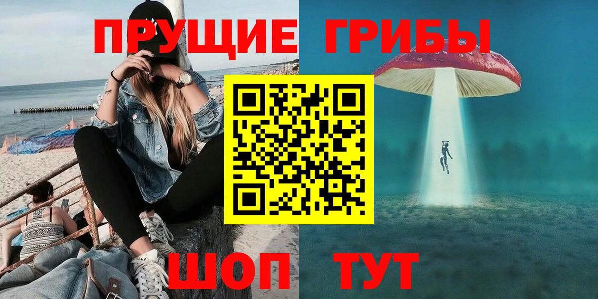 Псилоцибиновые грибы Psilocybe  Вход с VPN  Вольск 