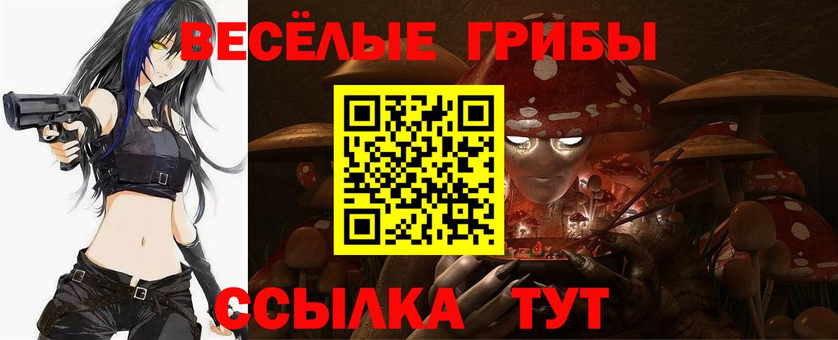 Галлюциногенные грибы ЛСД Вольск