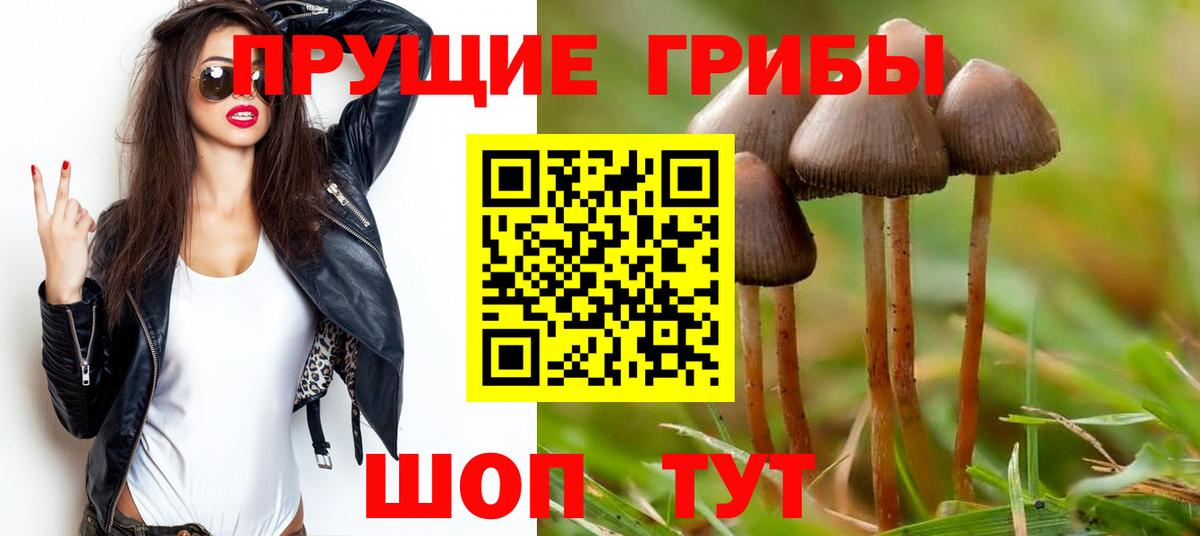 Галлюциногенные грибы мицелий Вольск